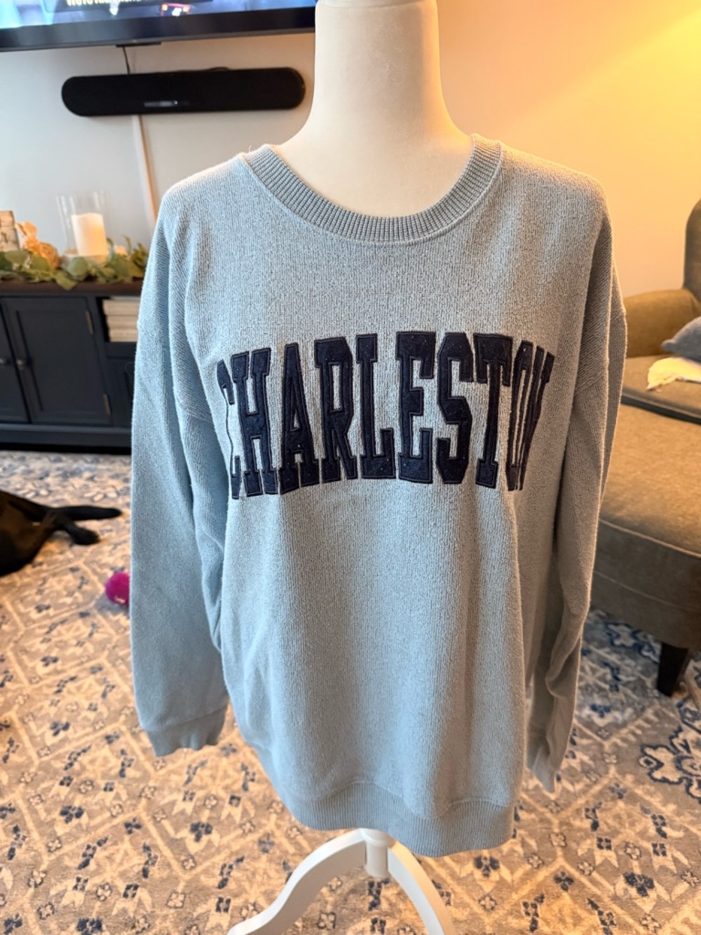 Charleston Light Blue Crewneck Sweatshirt with Collegiate Applique
